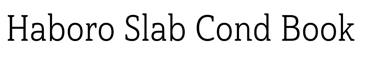 Haboro Slab Cond Book